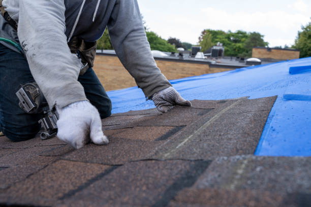Professional Roofing Contractor in Monte Vista, CO