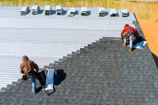 Best Roof Repair Services  in Monte Vista, CO