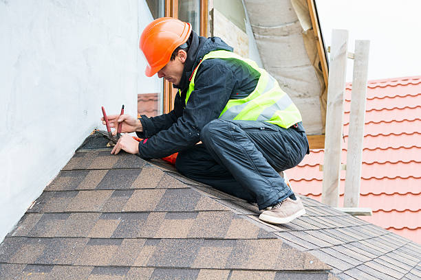 Best Roof Maintenance Services  in Monte Vista, CO