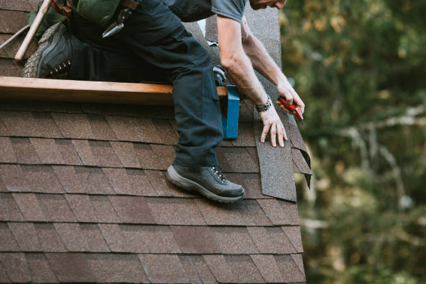 Best Shingle Roofing Installation  in Monte Vista, CO