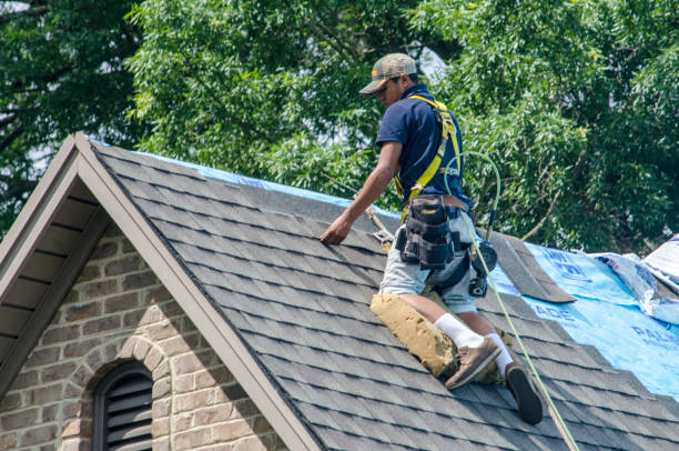 Best Residential Roofing Contractor  in Monte Vista, CO